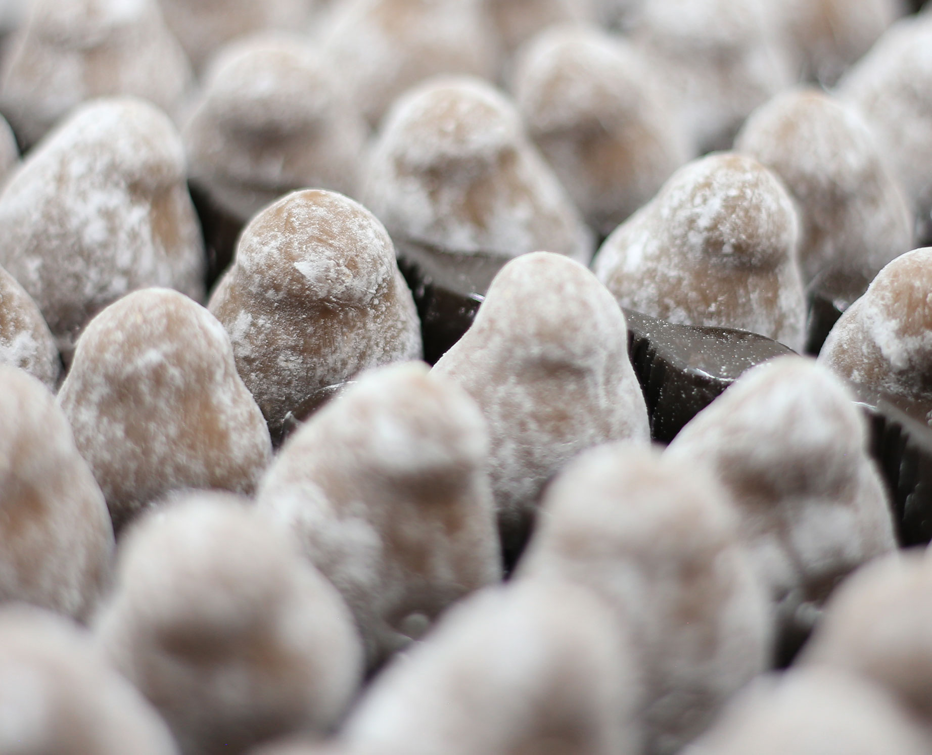 Dark Chocolate Champagne Truffle Gift for New Year's Eve